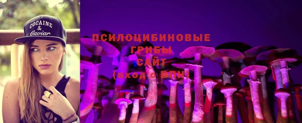 шишки Лихославль