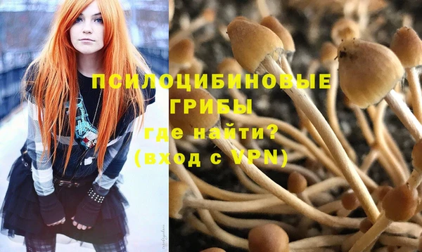 шишки Лихославль
