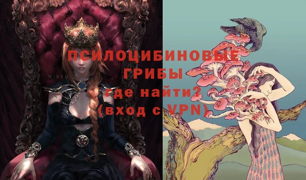 шишки Лихославль
