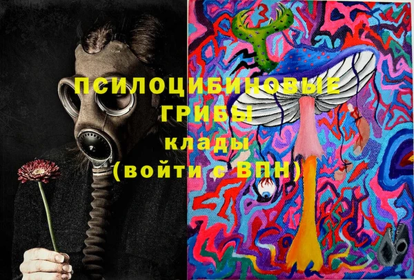 шишки Лихославль