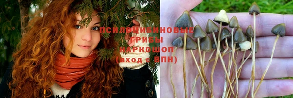 ECSTASY Лиски