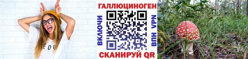 Псилоцибиновые грибы GOLDEN TEACHER  Новочеркасск 