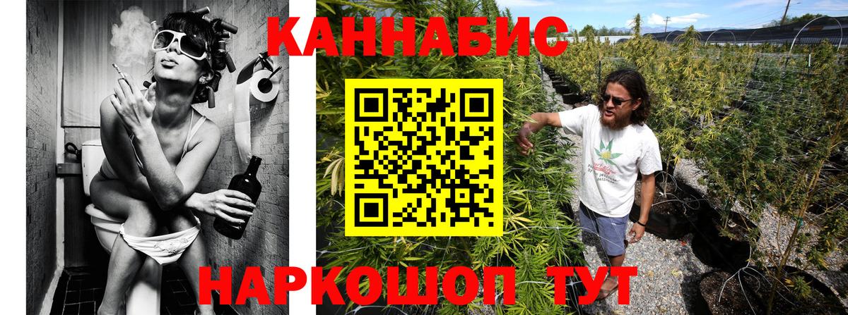 Бошки марихуана семена  Бошки марихуана конопля  Вход с VPN  Новочеркасск  Марихуана Bruce Banner  Бошки Шишки THC 21% 